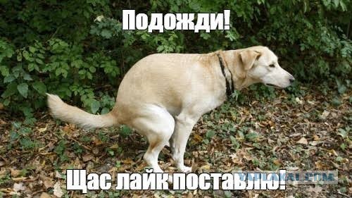 Давайте будем честными