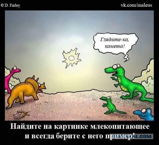 Картинки для деградации 298 (разной степени свежести)