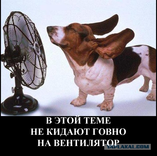 Тема для юмора