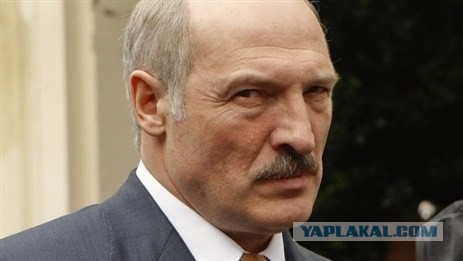 Хозяева прилетели