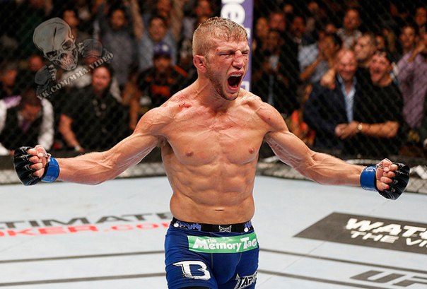 БОКС/MMA....