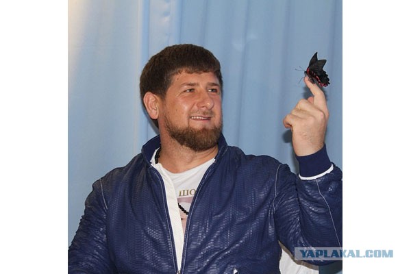 Анонимные секреты людей (Часть II)