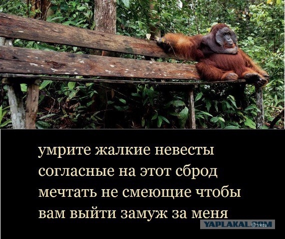 Женщины...