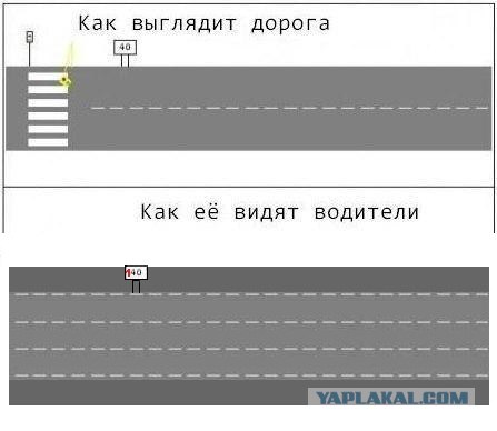 Дорога... Вот откуда все проблемы.