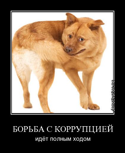 «Замечательный сосед» открыл сезон, дачных
