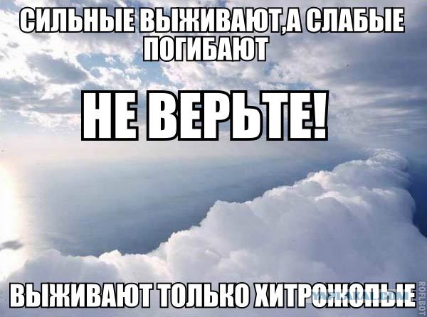 Немного позитива на пятницу