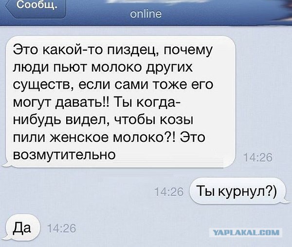 Веселые картинки