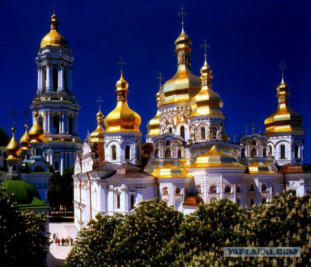 Тамбовский волк тебе товарищ...