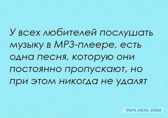 20 фактов обо всем