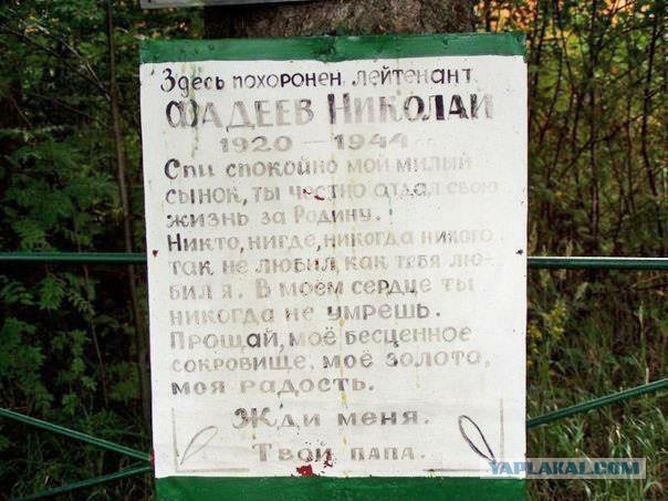 Больше, чем фото