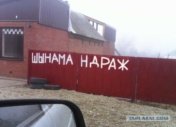 Шинама-за-опа, шина-шина-ма!