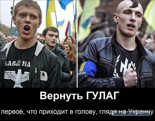 Олесь Бузина убит...