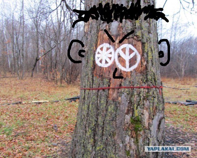 Место для шабаша?