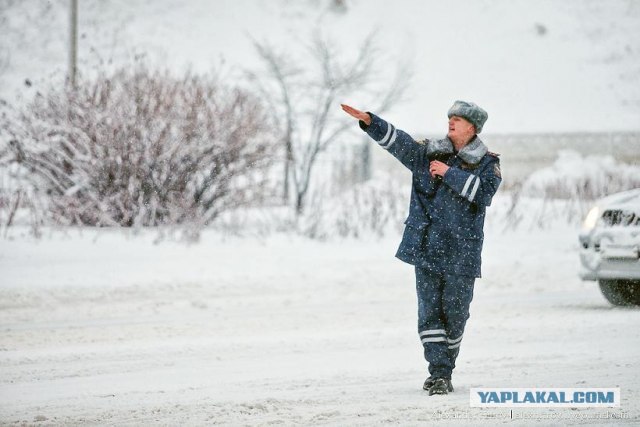 Как всё устроено: Сотрудник секс-шопа