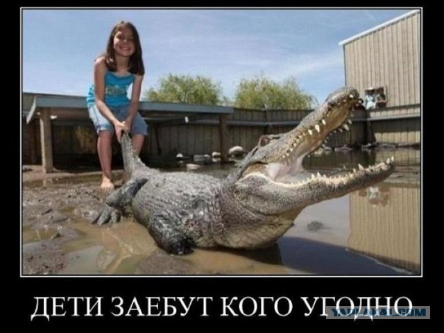 Картинки из инета