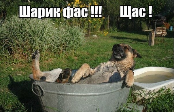 Картинки из инета