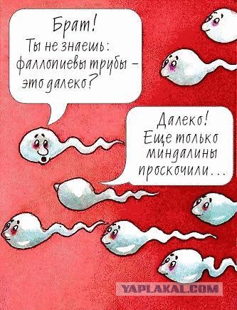 Сборник "баянов" со всего Интернета - 2
