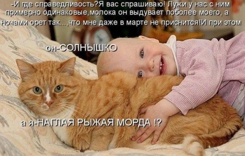 Котовторник