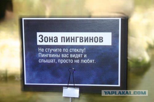 Как я интересно в зоопарк сходил