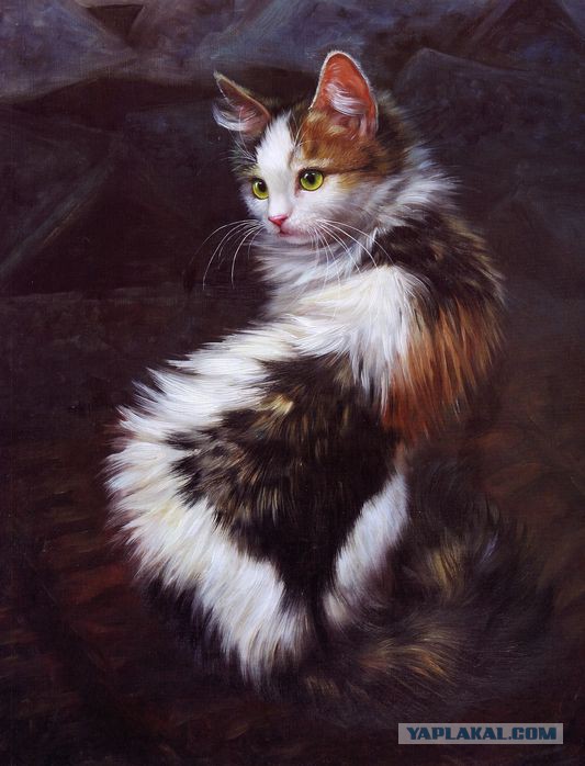Забавные рисованные кошки