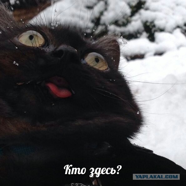 Удар по бункеру.