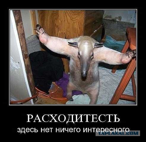 О запрете полетов в Турцию и Тунис