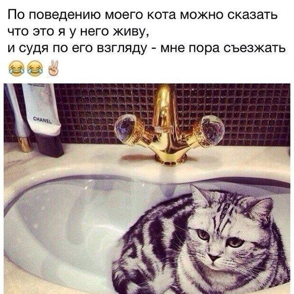 А давайте улыбнёмся В Новом Году