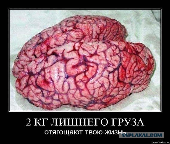 Отовсюду понемногу
