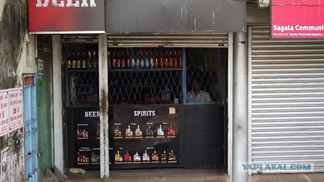 Самостоятельное путешествие в Шри-Ланку