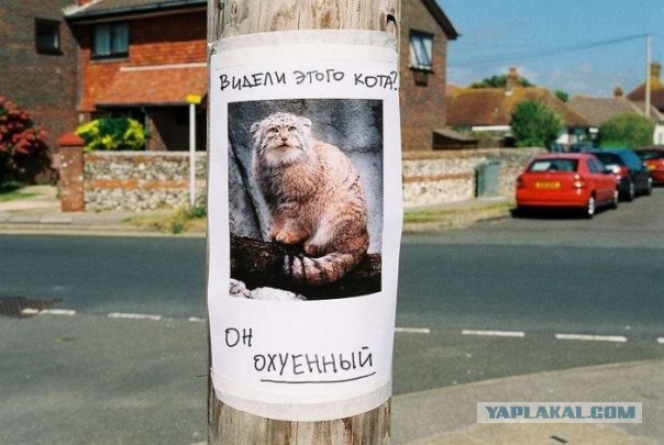 Абсурдный юмор ч.2