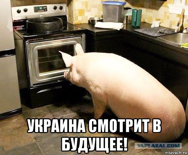 Украина может стать лидером в Европе благодаря своему интеллекту