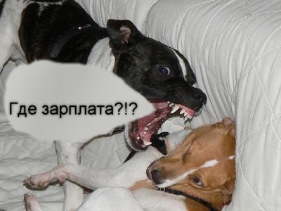 ВСТАВАЙ БЛЯТЬ!!!!!!