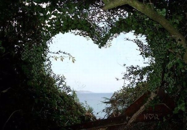 Подборка картинок 24.02.16