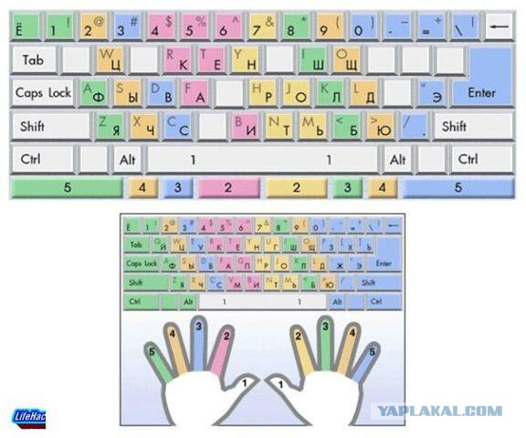 Ноутбук вместо аккордеона