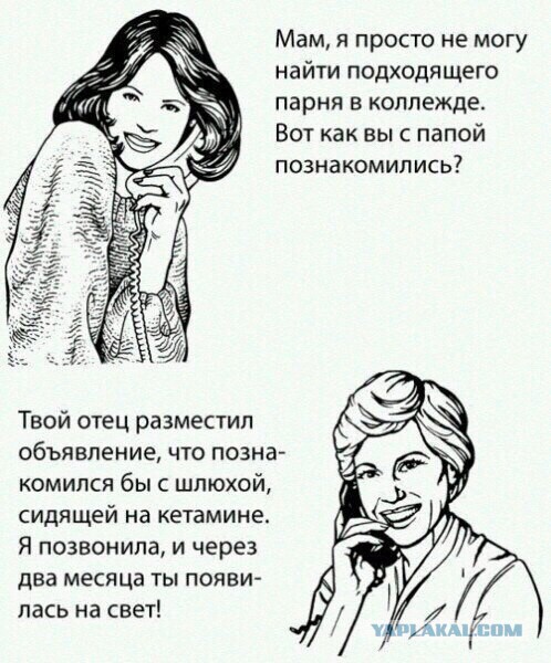 Абсурдная субботница