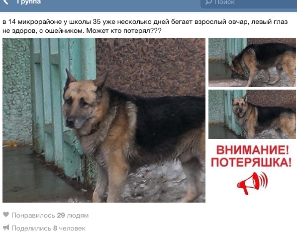 В Братске пенсионер две недели ждет на улице пропавшего пса