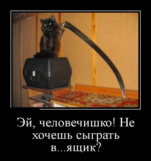 Смешные картинки с надписями