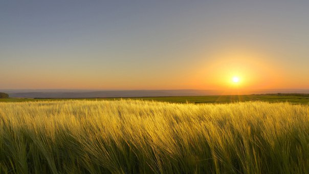 Интересные и веселые картинки