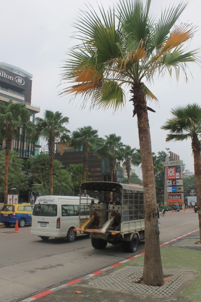 Тайские проститутки, транссексуалы, экскурсии и тайский массаж. Непутёвые заметки.