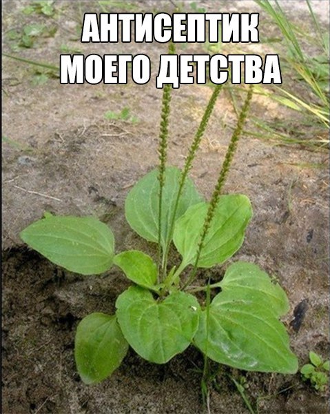 Интересные и веселые картинки
