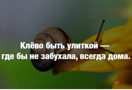 Порция картинок на пятницу
