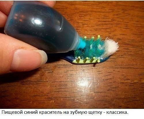 Подборка любопытных фотографий со всего света