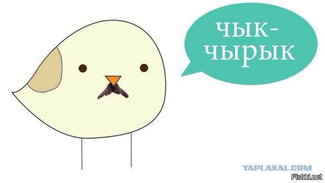 Красавицы идут в поле. Как мы поднимали моральный дух белорусского хлебороба