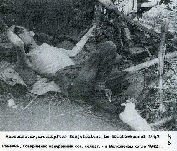 Волховский фронт. 1942. Взгляд с той стороны.