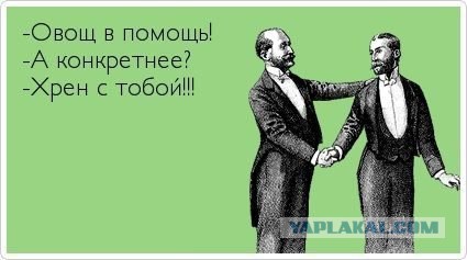 Смешные комментарии из социальных сетей 11.11.2016