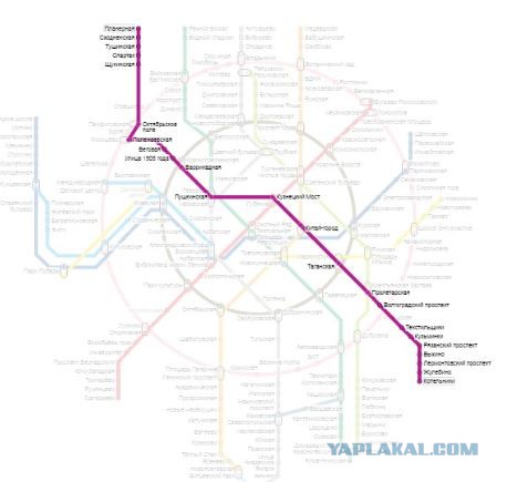 Бордовая ветка московского метро встала.