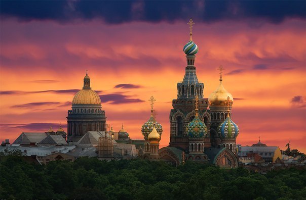 Моменты, запечатлённые на фото и просто позитив 5