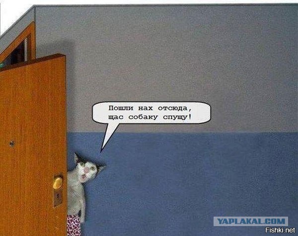 Подборка интересных и веселых картинок