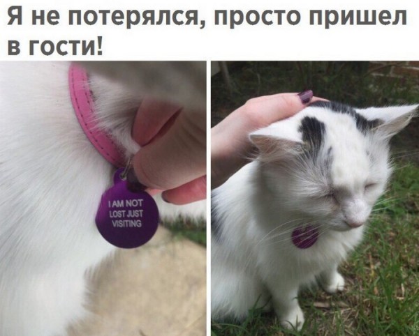 Подборка интересных и веселых картинок