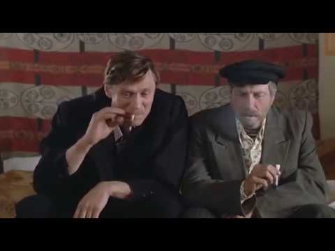Что делать, когда начнется
